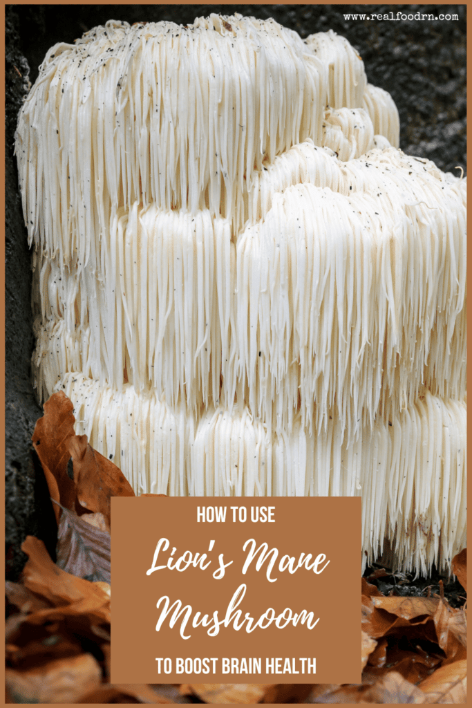 How To Use Lion’s Mane Mushroom to Boost Brain Health | Real Food RN