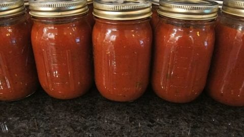 Homemade Pizza Sauce (to freeze)