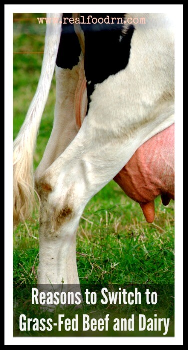 Reasons to Switch to Grass-Fed Beef and Dairy | Real Food RN