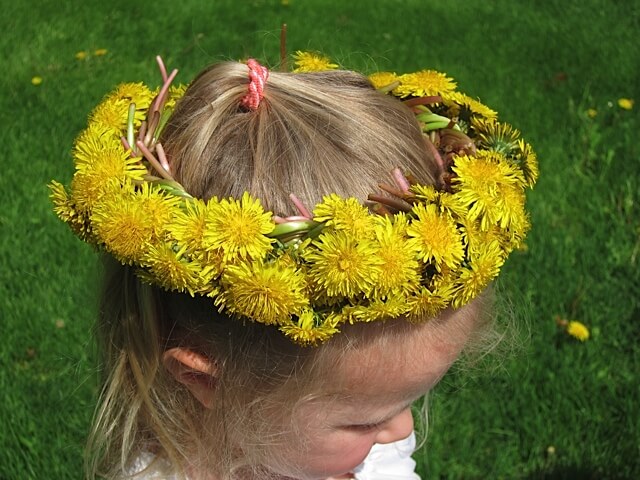How To Make a Dandelion Crown | Real Food RN