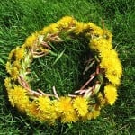 How To Make a Dandelion Crown