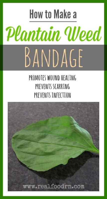 How to Make a Plantain Weed Bandage | Real Food RN