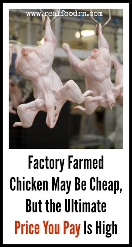 Factory Farmed Chicken May Be Cheap, But the Ultimate Price You Pay Is High | Real Food RN