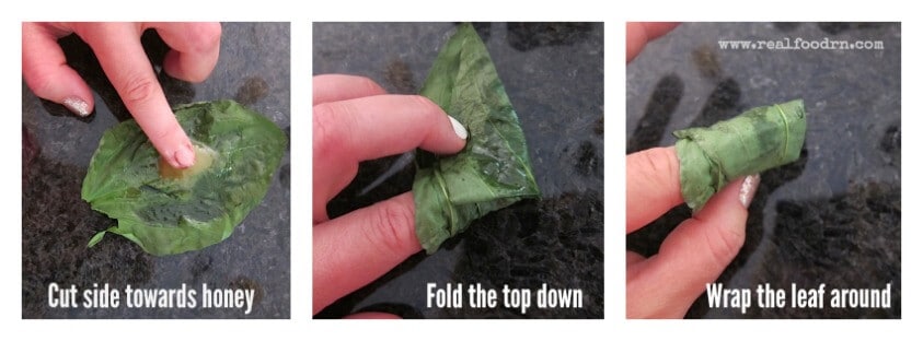 How to Make a Plantain Weed Bandage | Real Food RN