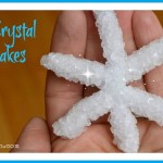 How to Make Borax Crystal Snowflakes