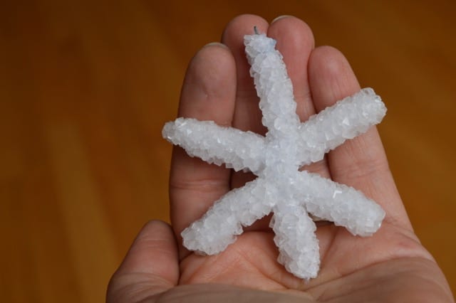 How to Make Borax Crystal Snowflakes | Real Food RN