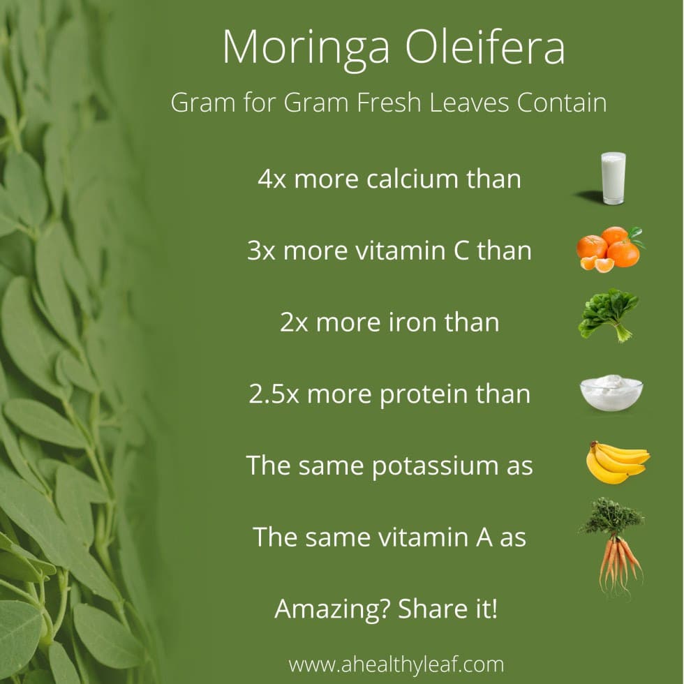 moringa oleifera health benefits