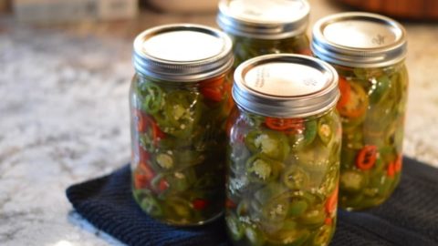 Easy and Fast (No Water Boil) Canned Pickled Jalapeños