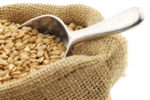 Health Benefits of Einkorn Flour | Real Food RN