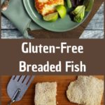 Gluten-Free Breaded Fish | Real Food RN