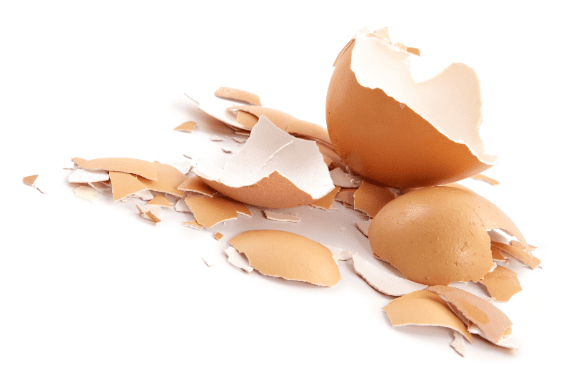 Abrasive Cleaning Powder (made from eggshells!) | Real Food RN