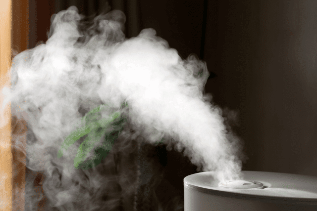 Should You Use a Warm Mist or Cool Mist Humidifier for Cough?