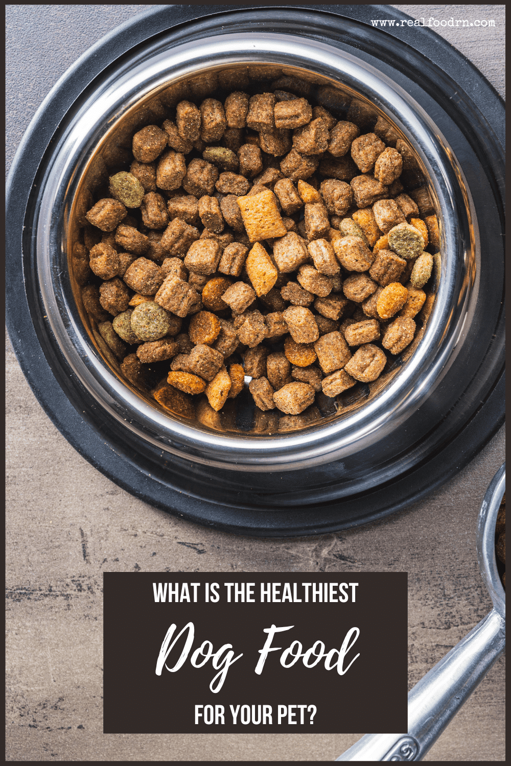 What Is the Healthiest Dog Food for Your Pet? Real Food RN