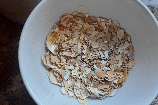 Don’t Throw Away Your Eggshells: How to Turn Kitchen Scraps into Garden Gold